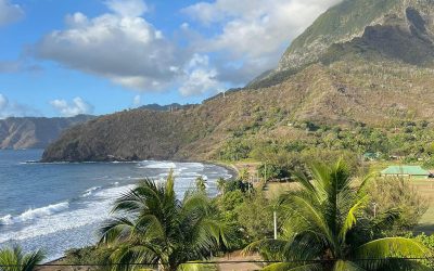 Complete Mebor sawing line in the heart of Pacific