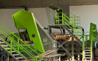 Complete SAWING LINE for HARDWOOD in Serbia